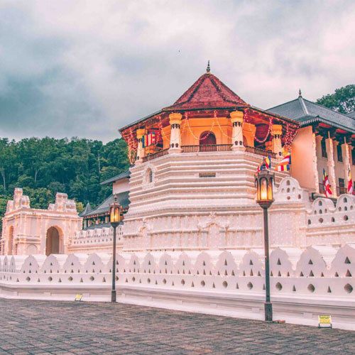 Wildlife Photography Tours